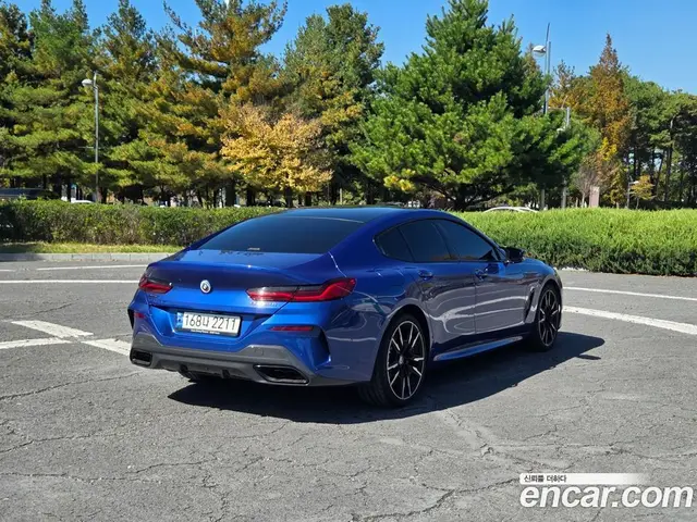 BMW 8 серия 2022 4.4 АКПП, миниатюра 5