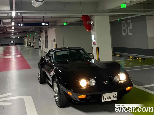 Chevrolet Corvette 1973 5.7 МКПП, миниатюра 9 Chevrolet Corvette 1973 5.7 МКПП, миниатюра 9