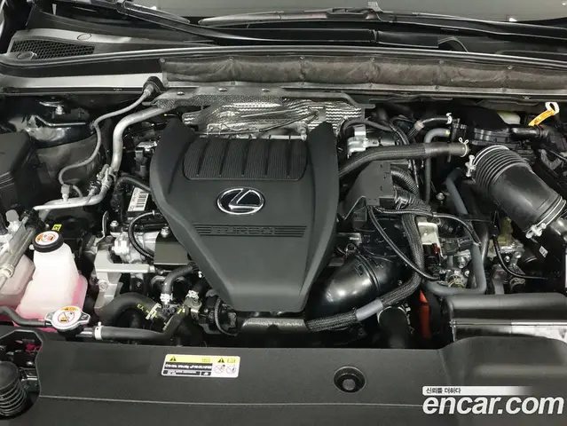 Lexus RX 2025 2.4 АКПП, миниатюра 6 Lexus RX 2025 2.4 АКПП, миниатюра 6