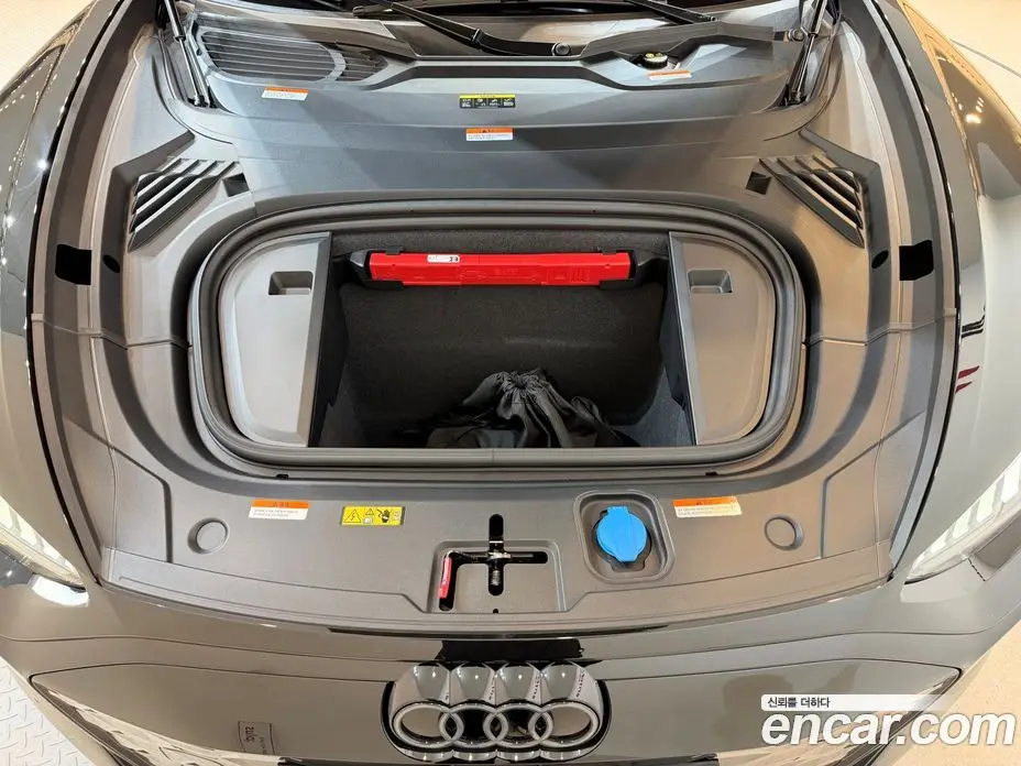 Audi RS e-tron GT 2025 1.0 АКПП, фото 6