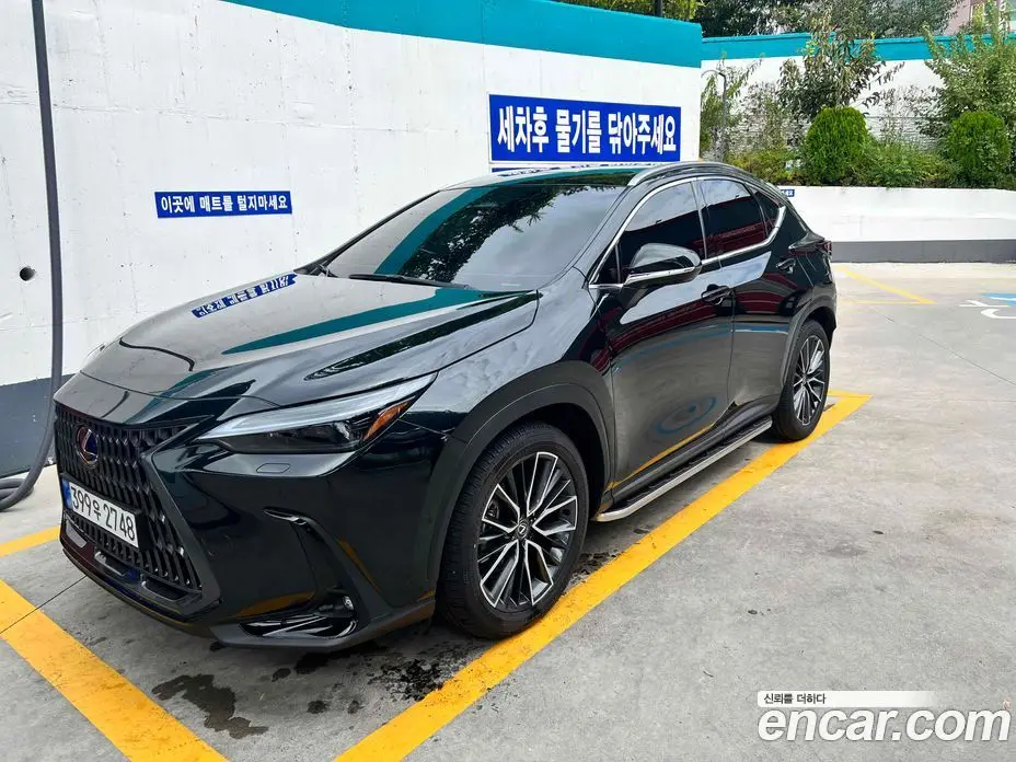 Lexus NX 2025 2.5 АКПП, фото 2 Lexus NX 2025 2.5 АКПП, фото 2