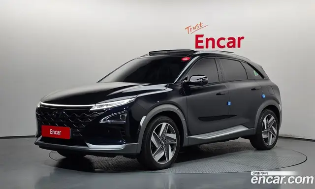 Hyundai Nexo, 2021, 203 515 км