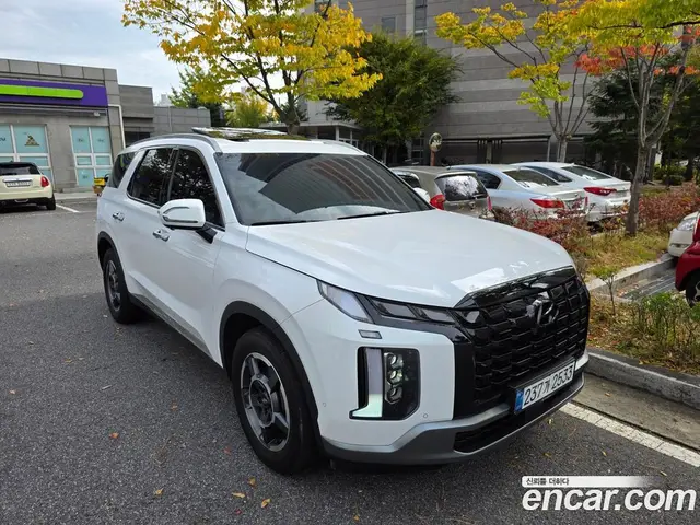 Hyundai Palisade 2024 2.2 АКПП, миниатюра 2