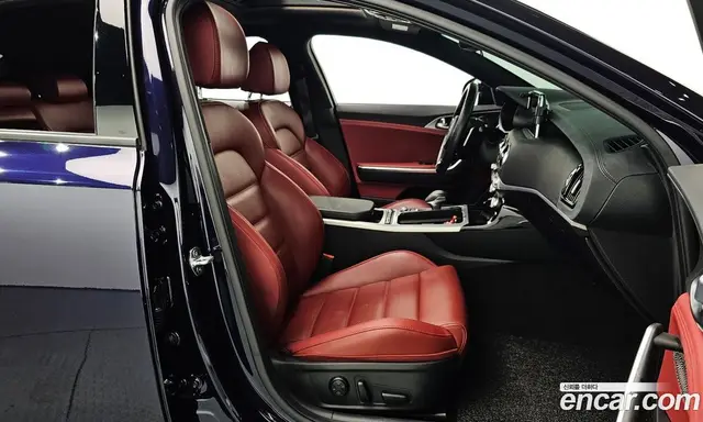 Kia Stinger 2020 2.0 АКПП, миниатюра 11