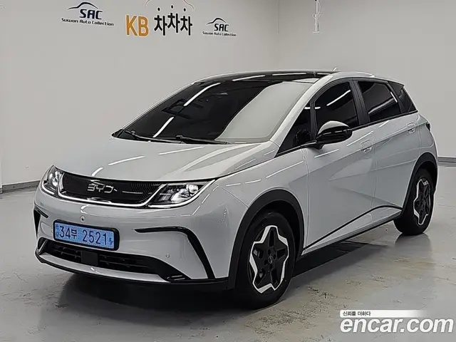 BYD Dolphin, 2026, 71 км