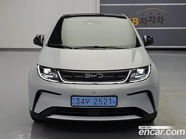 BYD Dolphin 2026 0.1 АКПП, миниатюра 2
