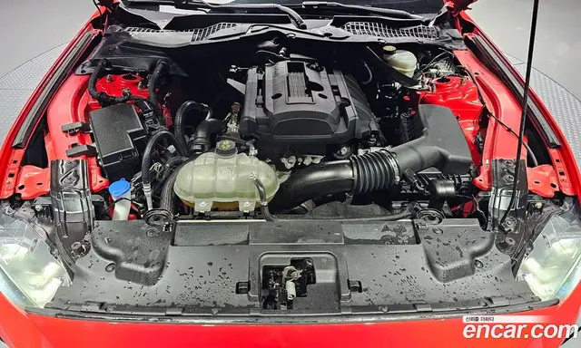 Ford Mustang 2021 2.3 АКПП, миниатюра 6