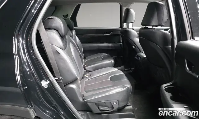 Hyundai Palisade 2019 2.2 АКПП, миниатюра 12