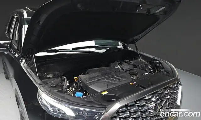 Hyundai Palisade 2019 2.2 АКПП, миниатюра 6 Hyundai Palisade 2019 2.2 АКПП, миниатюра 6