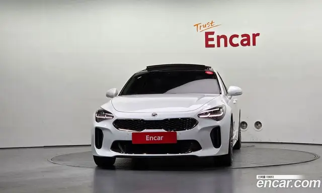 Kia Stinger 2017 2.0 АКПП, миниатюра 3