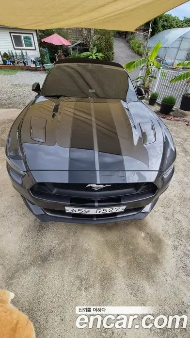 Ford Mustang, 2017, 92 000 км