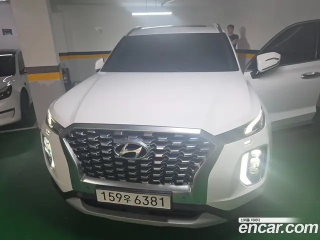 Hyundai Palisade, 2020, 79 144 км