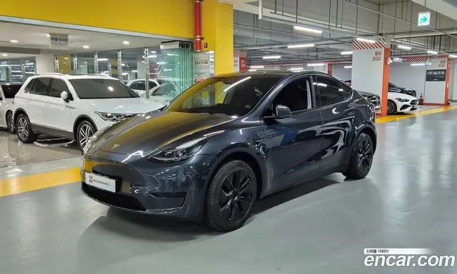 Tesla Model Y, 2024, 17 247 км