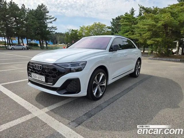 Audi Q8, 2026, 1 100 км