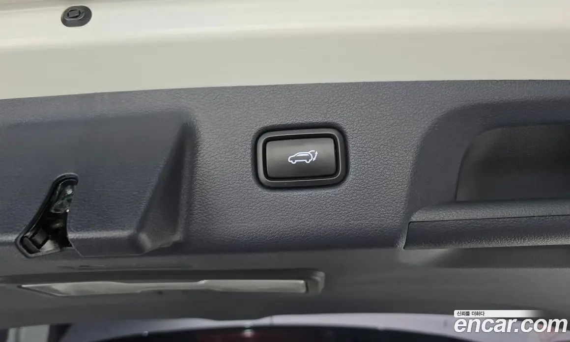 Hyundai Palisade 2019 2.2 АКПП, фото 20