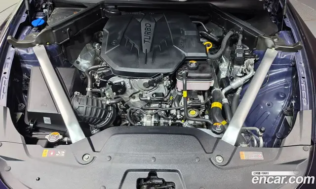 Kia Stinger 2020 2.5 АКПП, миниатюра 6