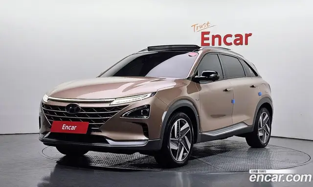 Hyundai Nexo, 2019, 124 636 км