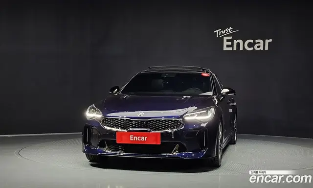 Kia Stinger 2019 2.0 АКПП, миниатюра 3