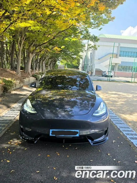Tesla Model Y, 2021, 75 000 км