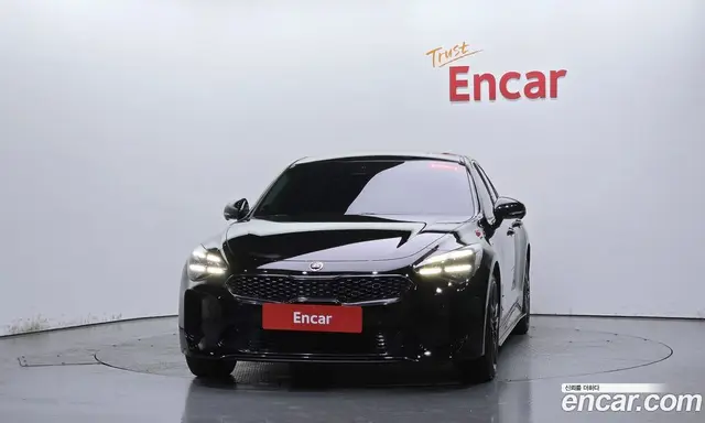 Kia Stinger 2020 2.5 АКПП, миниатюра 2
