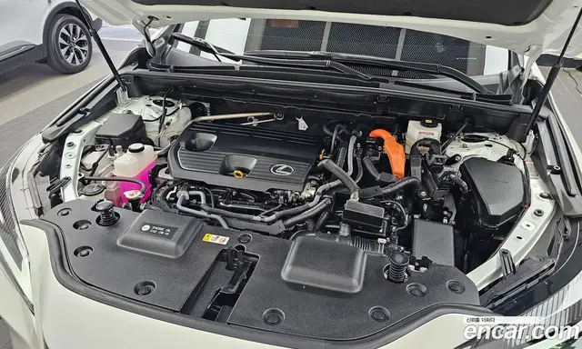 Lexus NX 2023 2.5 АКПП, миниатюра 6