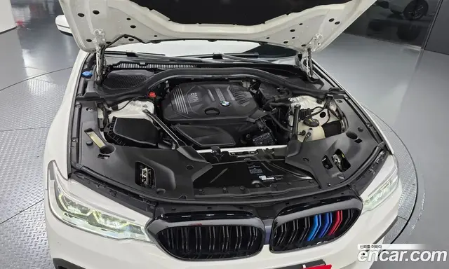 BMW 5 серия 2017 2.0 АКПП, миниатюра 6