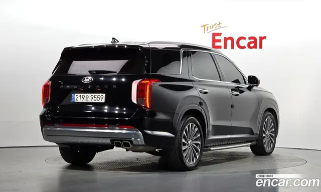 Hyundai Palisade 2023 2.2 АКПП, миниатюра 2