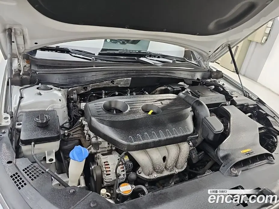 Kia K5 (Optima) 2018 2.0 АКПП, фото 6
