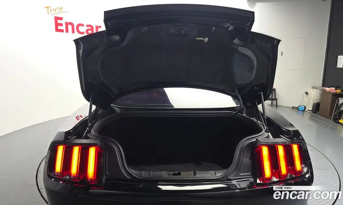 Ford Mustang 2016 2.3 АКПП, фото 17