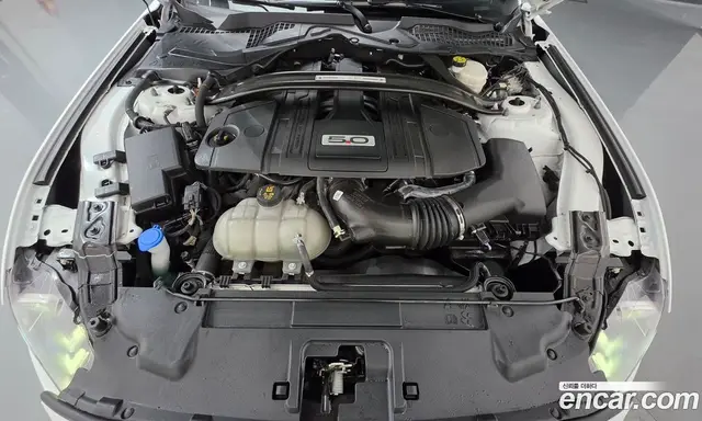 Ford Mustang 2022 5.0 АКПП, миниатюра 6 Ford Mustang 2022 5.0 АКПП, миниатюра 6