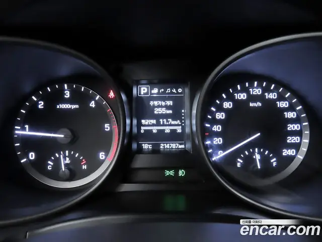 Hyundai Santa Fe 2016 2.0 АКПП, миниатюра 8