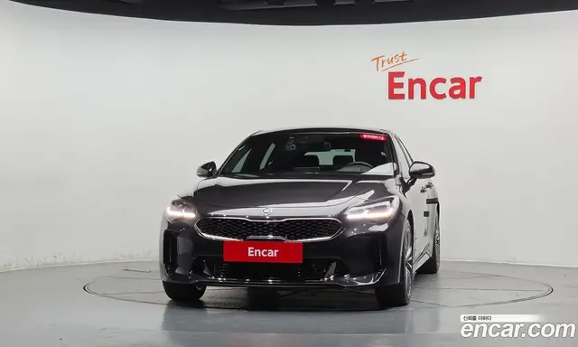 Kia Stinger 2019 2.0 АКПП, миниатюра 2