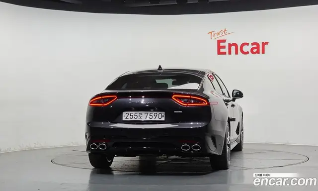 Kia Stinger 2019 2.0 АКПП, миниатюра 3