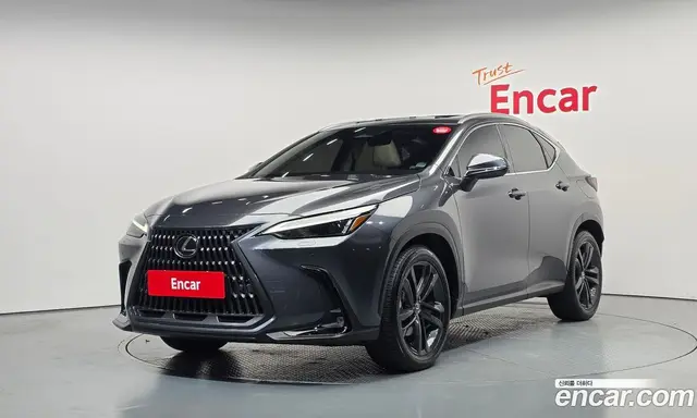 Lexus NX, 2024, 21 198 км