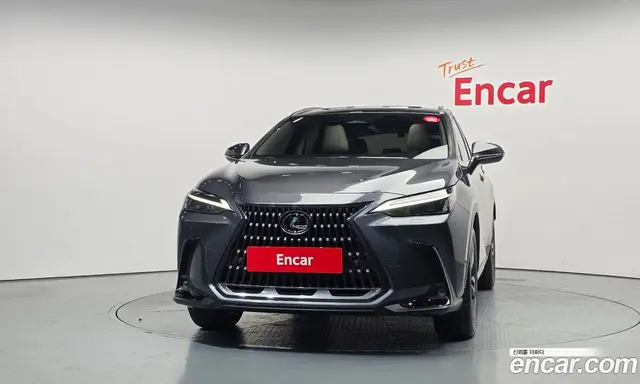 Lexus NX 2024 2.5 АКПП, миниатюра 3 Lexus NX 2024 2.5 АКПП, миниатюра 3