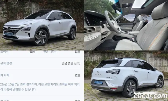 Hyundai Nexo, 2020, 163 737 км