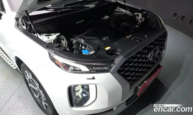 Hyundai Palisade 2020 3.8 АКПП, миниатюра 6