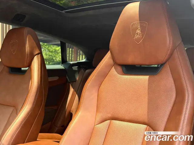 Lamborghini Urus 2019 4.0 АКПП, миниатюра 5