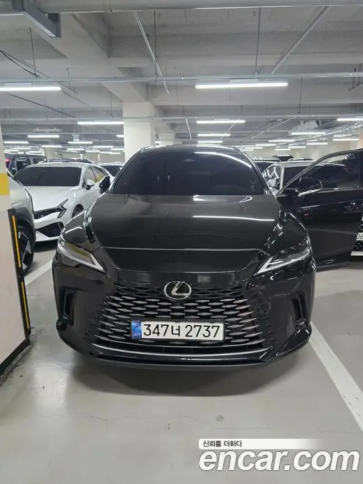 Lexus RX 2024 2.5 АКПП, фото 1 Lexus RX 2024 2.5 АКПП, фото 1
