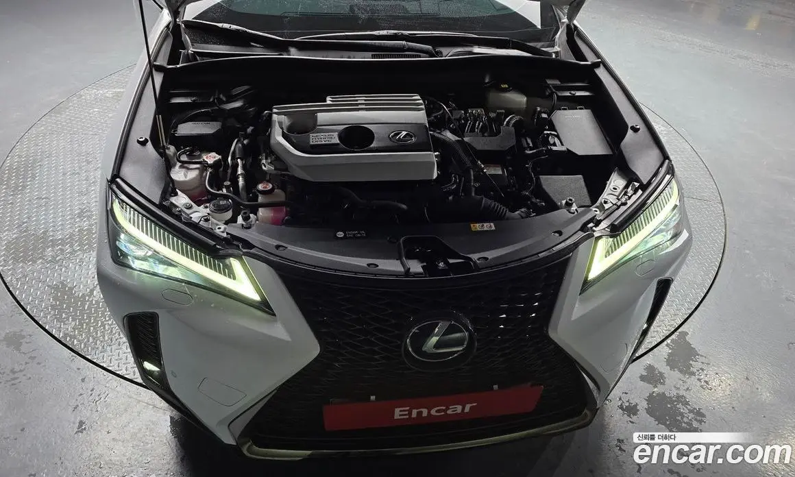 Lexus UX 2020 2.0 АКПП, фото 6 Lexus UX 2020 2.0 АКПП, фото 6