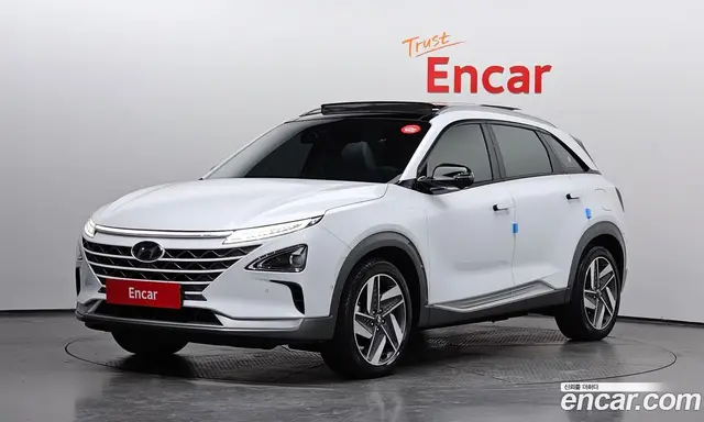 Hyundai Nexo, 2022, 42 876 км
