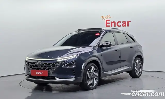 Hyundai Nexo, 2019, 115 402 км