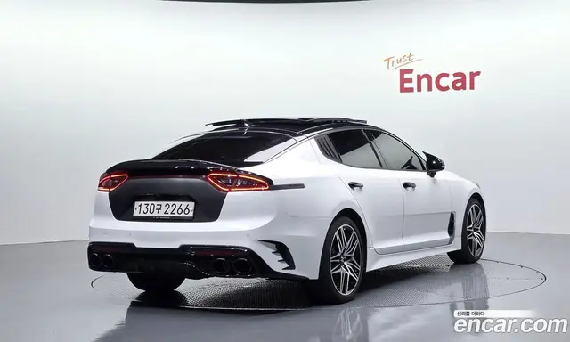 Kia Stinger 2019 2.0 АКПП, миниатюра 2