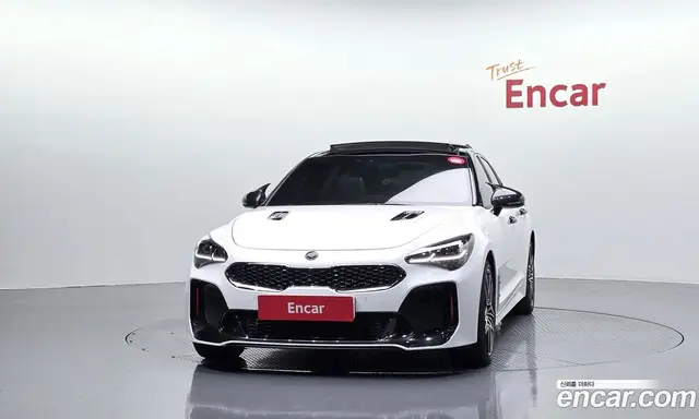 Kia Stinger 2019 2.0 АКПП, миниатюра 3