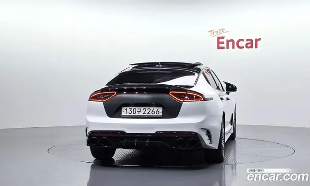 Kia Stinger 2019 2.0 АКПП, миниатюра 4