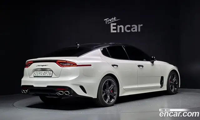 Kia Stinger 2019 2.0 АКПП, миниатюра 2