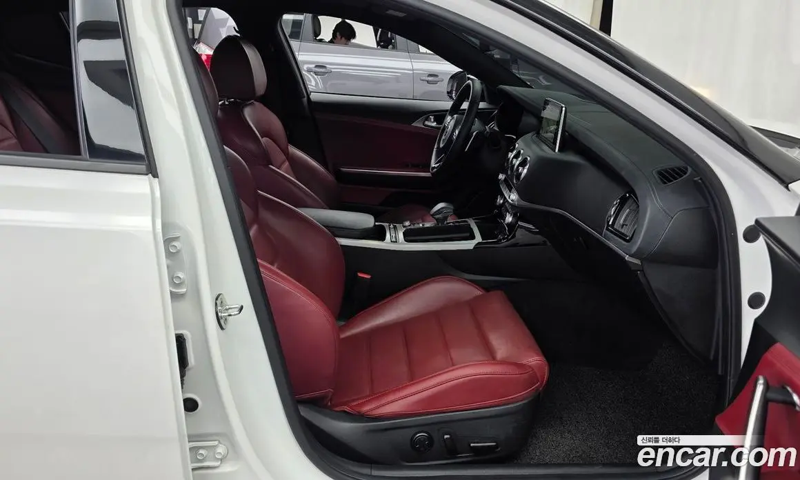 Kia Stinger 2019 2.0 АКПП, фото 17