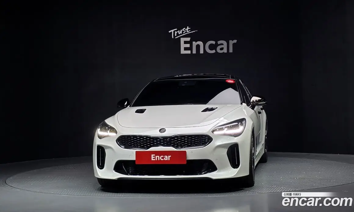 Kia Stinger 2019 2.0 АКПП, фото 3