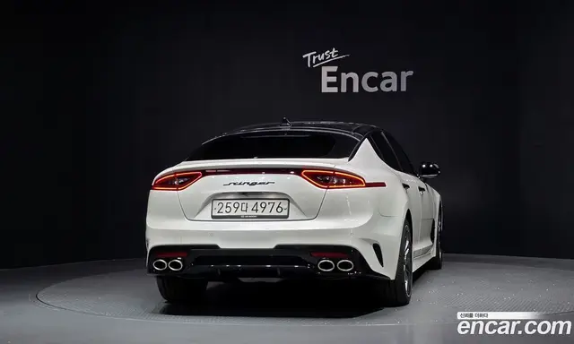 Kia Stinger 2019 2.0 АКПП, миниатюра 4
