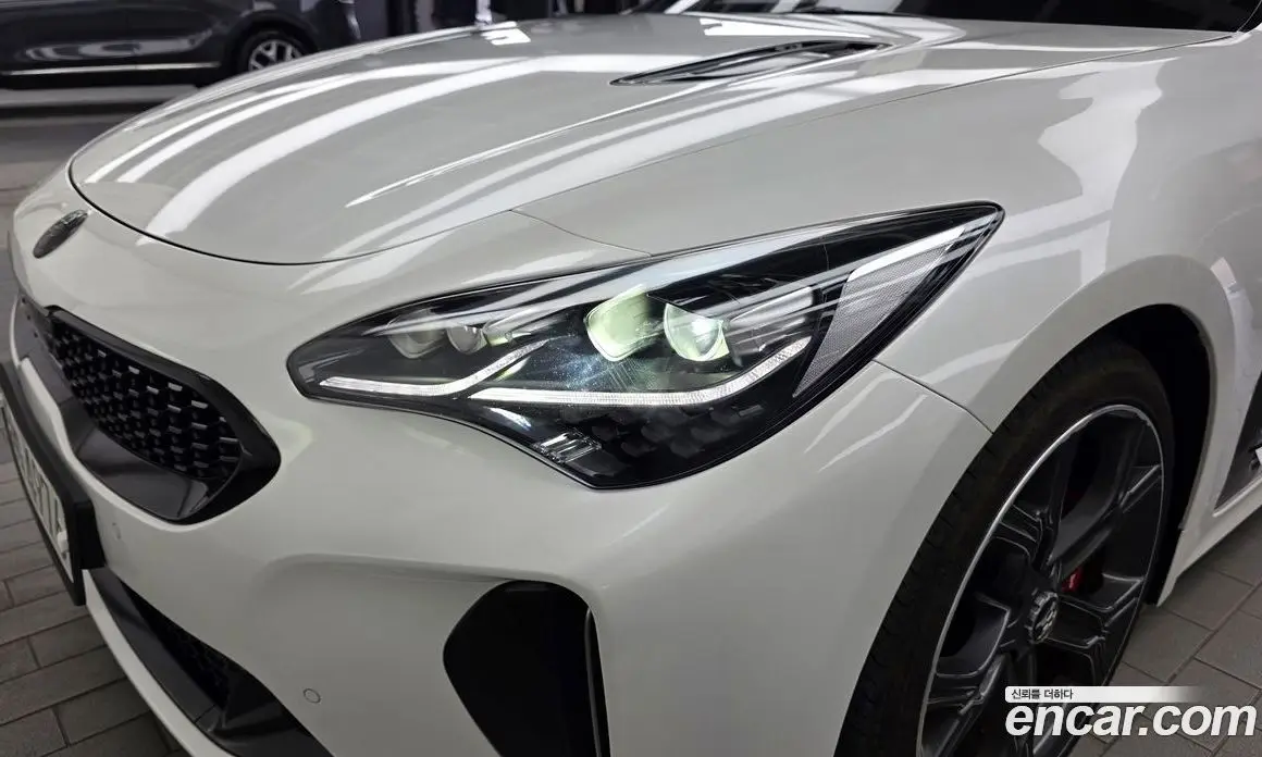 Kia Stinger 2019 2.0 АКПП, фото 8